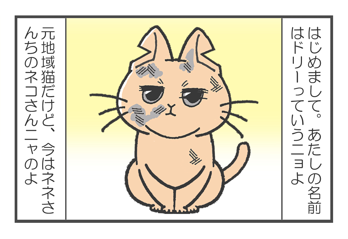20190331_1.jpg
