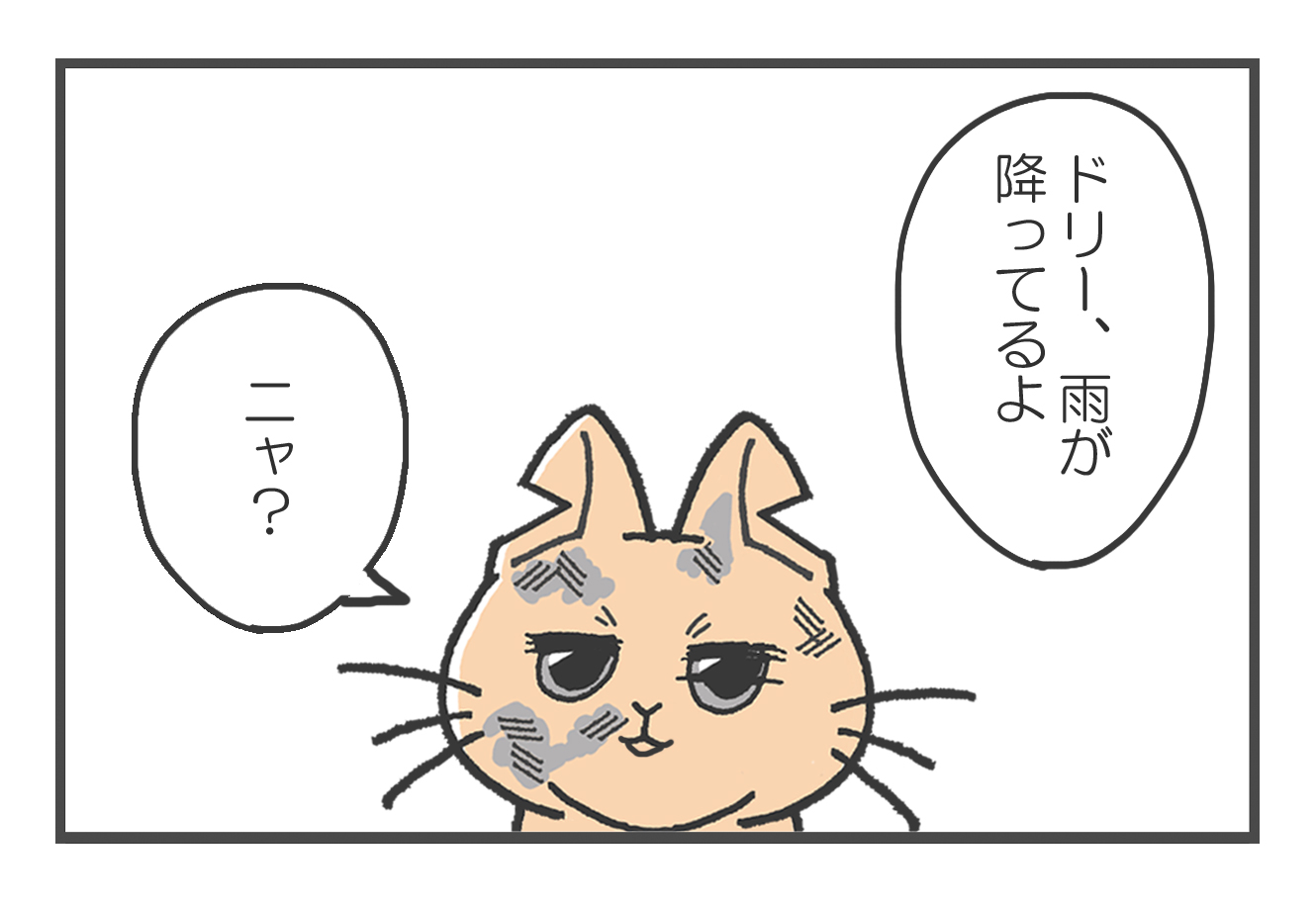 20190421_3.jpg
