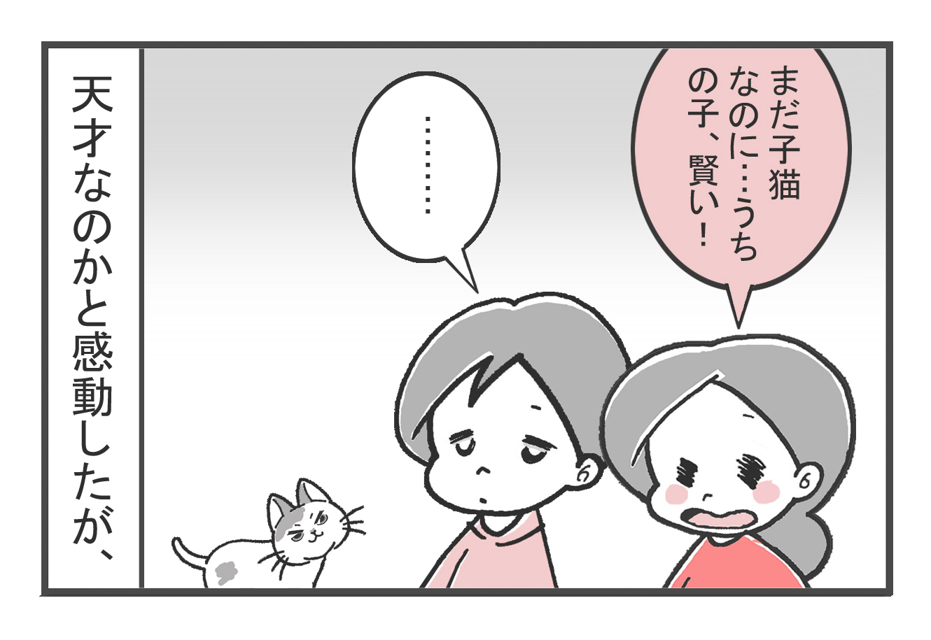 20190602_2.jpg