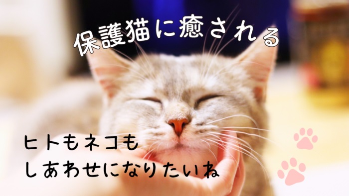 54850001b55808ef20567e1.jpg