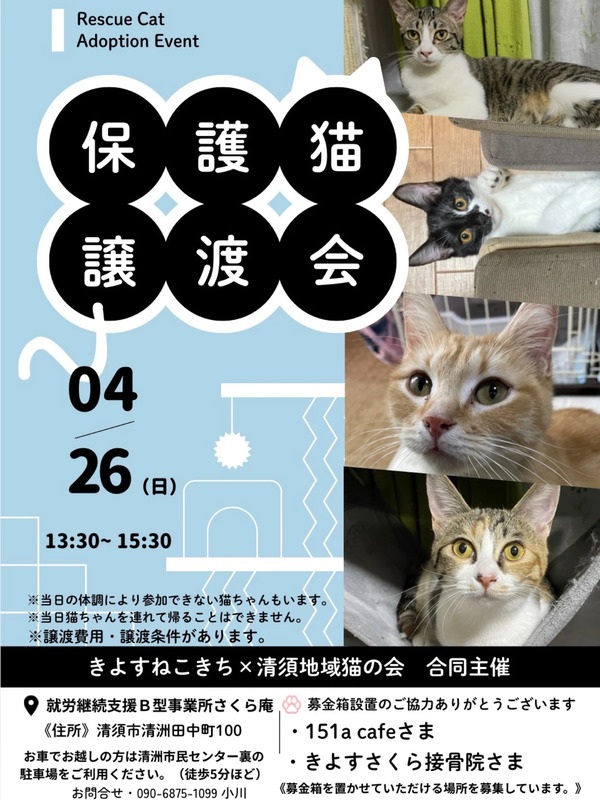 content_c96a6317-17bc-400a-8a1b-f1f69a185328.jpg