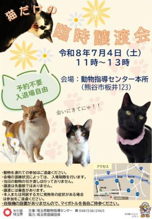 nekodakenorinnjijoutokai.jpg