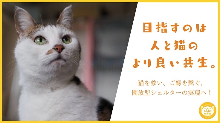 p119421-key-visual.jpg