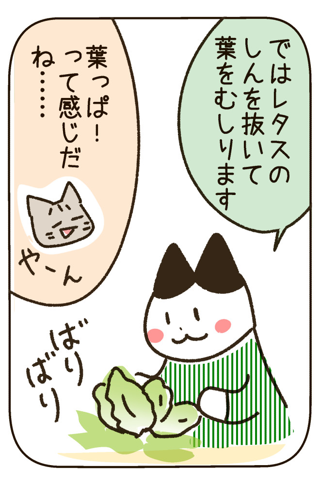 190603_3s.jpg