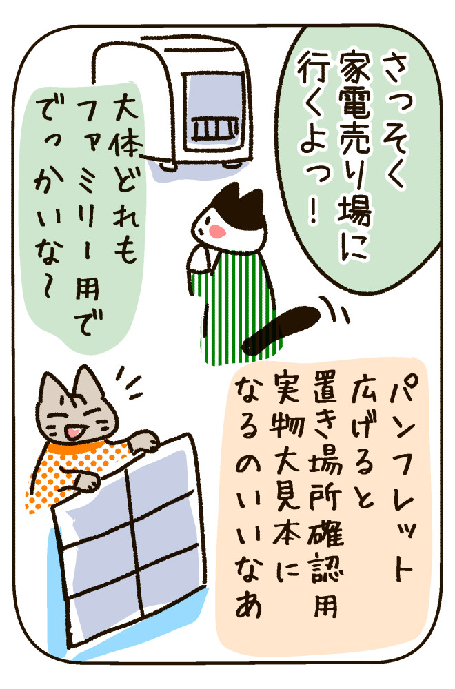 250217-3.jpg