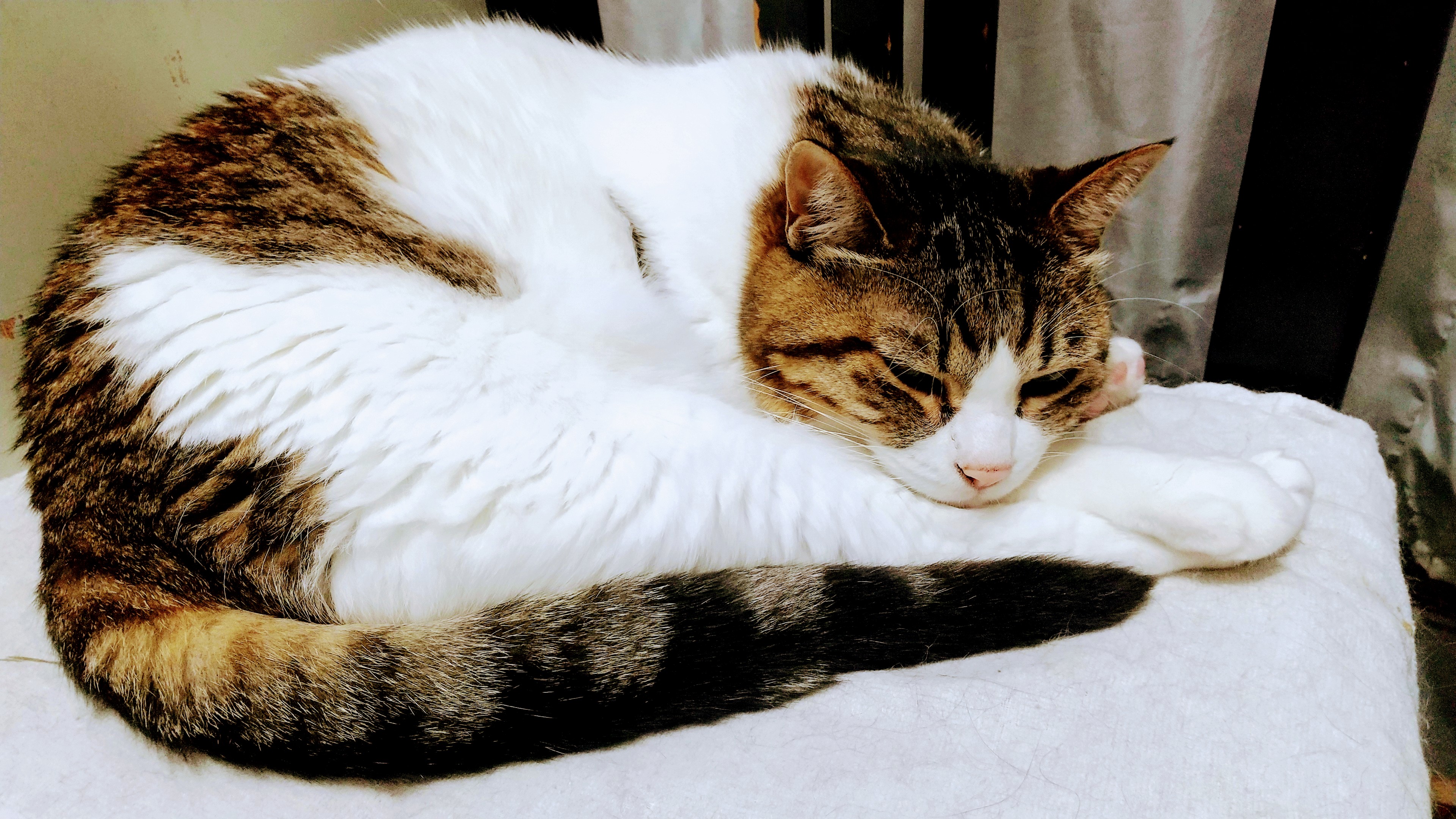 DSC_0510_3.JPG