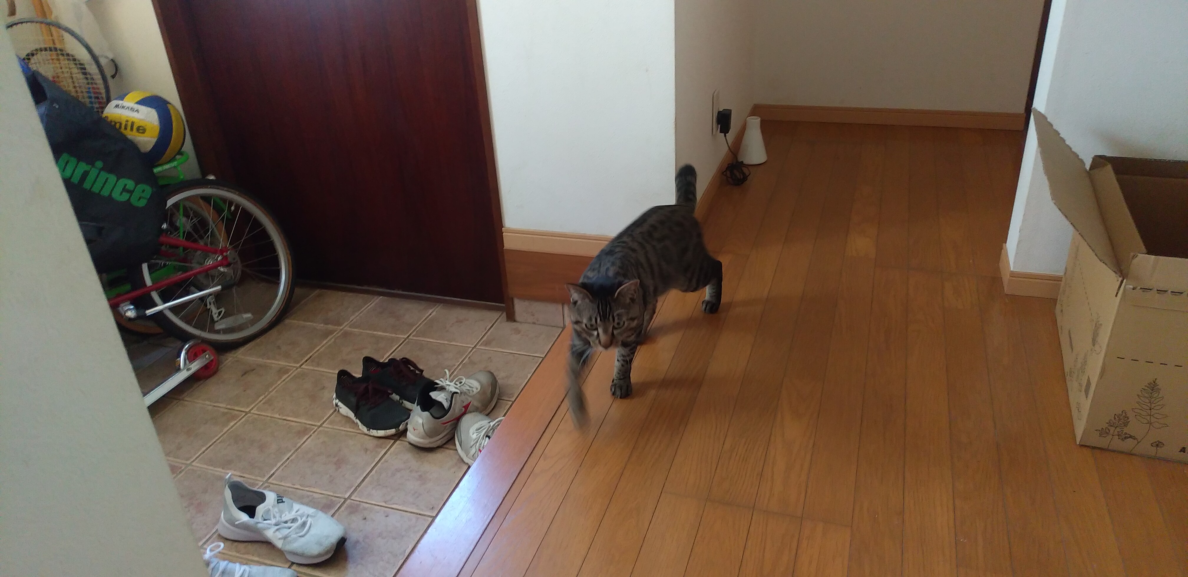 IMG_20200320_073917.jpg