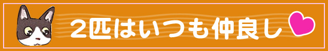 banner_640_100_mono.jpg