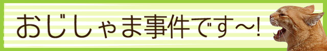 banner_640_100_oji.jpg