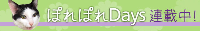 banner_640_100_pore.jpg