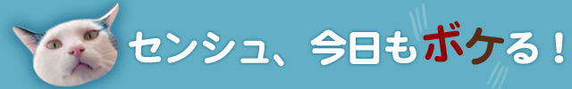 banner_640_100_sen.jpg