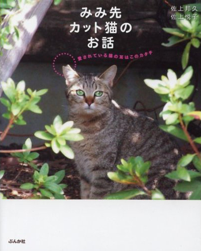 4821142988-k.jpg
