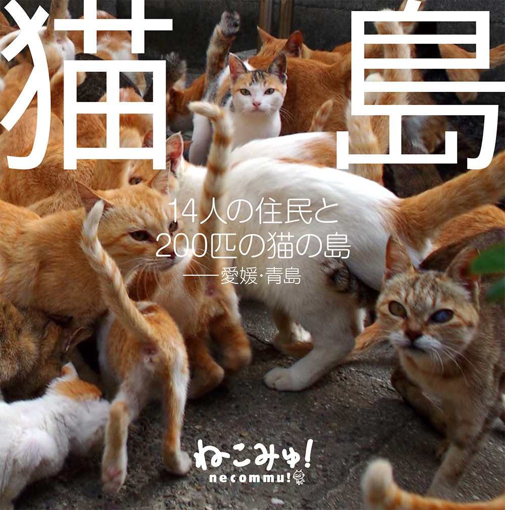 nekoshima.jpg