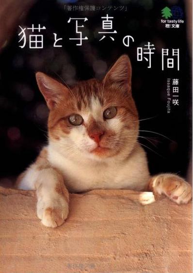 shashin.jpg