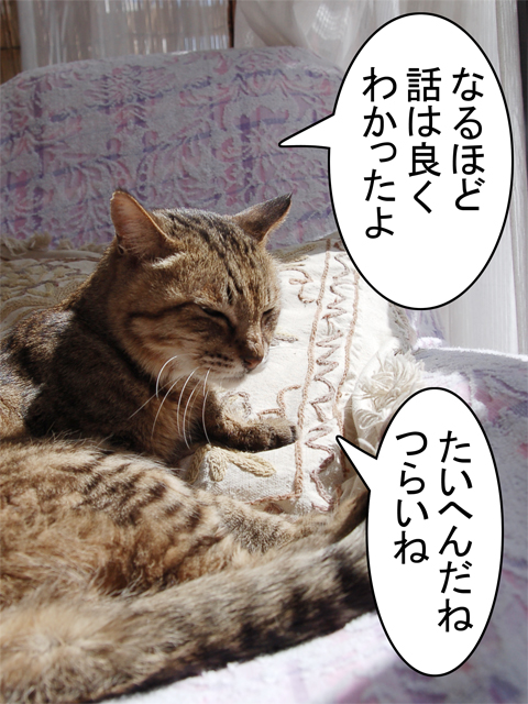 0417_1.jpg