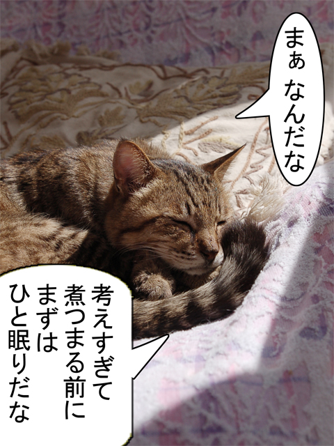 0417_3.jpg