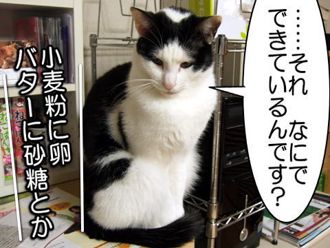 090224c.JPG