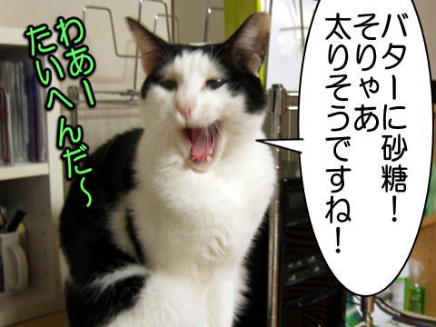 090224d.JPG
