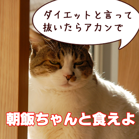 090304.jpg