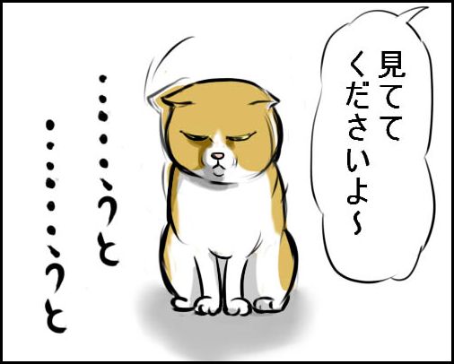 20090525_3.jpg
