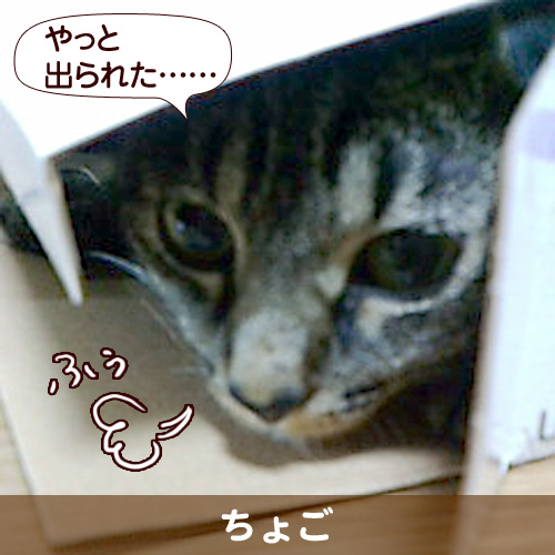 やっと出られた……