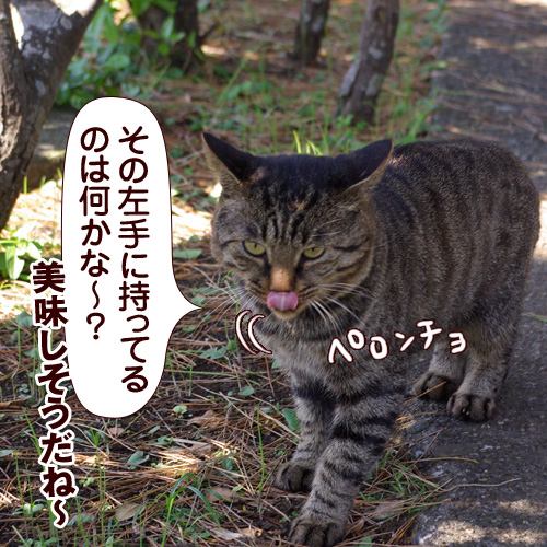 その左手に持ってるのは何かな～？