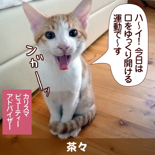 ハ～イ！　今日は口をゆっくり開ける運動で～す