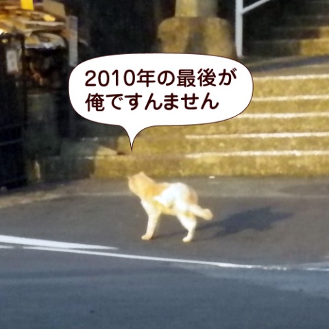 101231.jpg