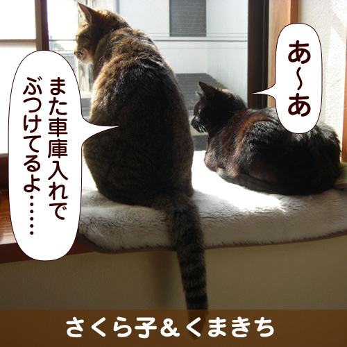 110122_touko.jpg
