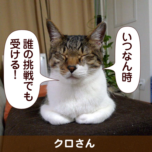 110151_touko.jpg