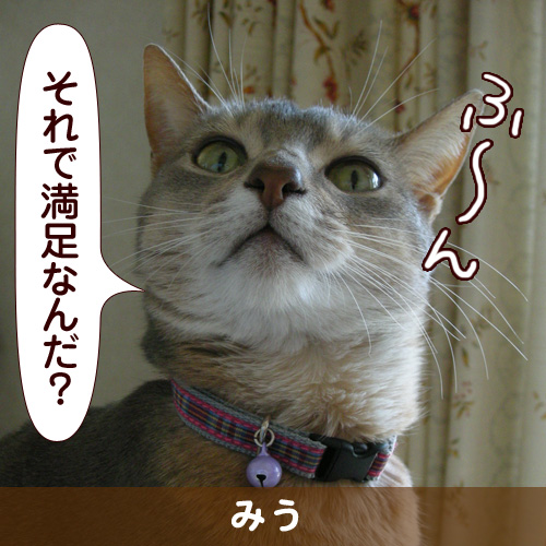 110158_touko.jpg
