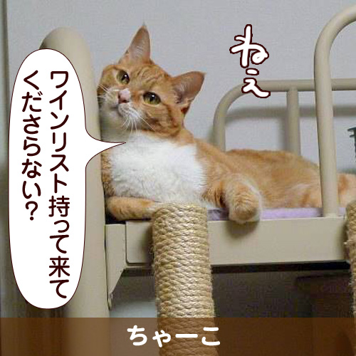 110204_touko.jpg