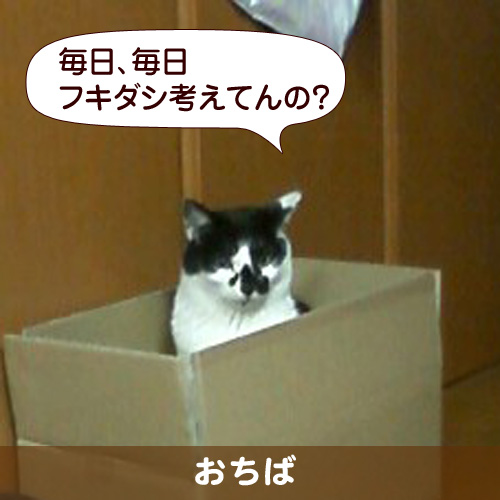 110216_touko.jpg