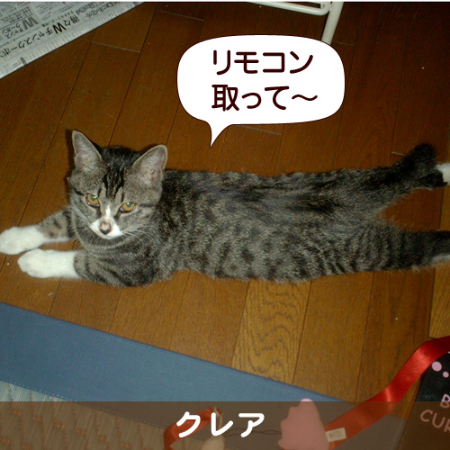 110217_touko.jpg