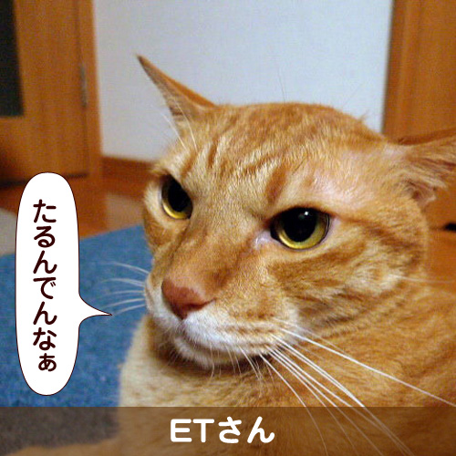 110301_touko.jpg