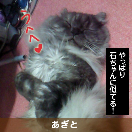 110309_touko.jpg