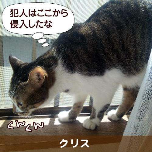 110326_touko.jpg