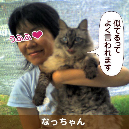 110329_touko.jpg