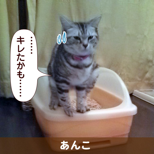 110341_touko.jpg