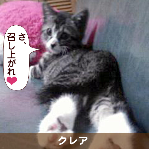 110342_touko.jpg