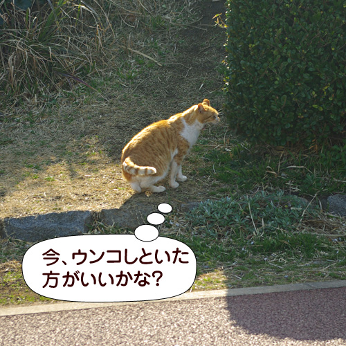 110505.jpg
