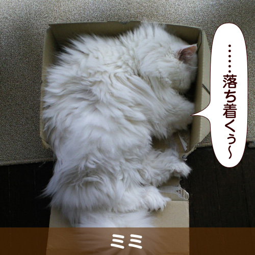 110505_touko.jpg