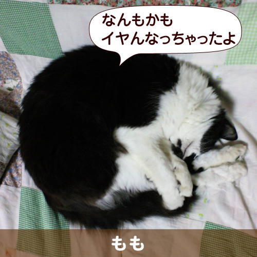 110521_touko.jpg