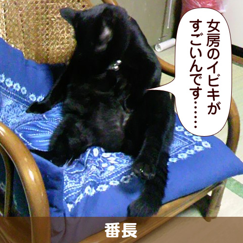 110630_touko.jpg