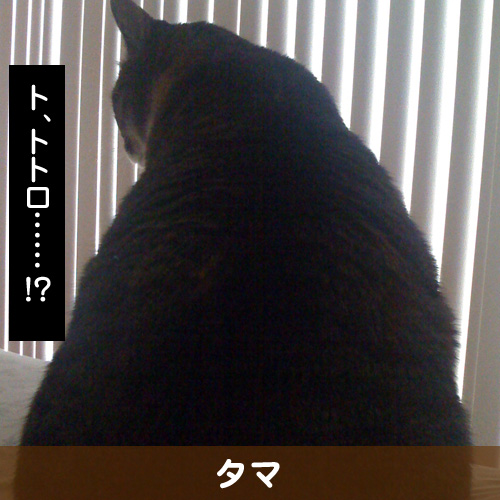110718_touko.jpg