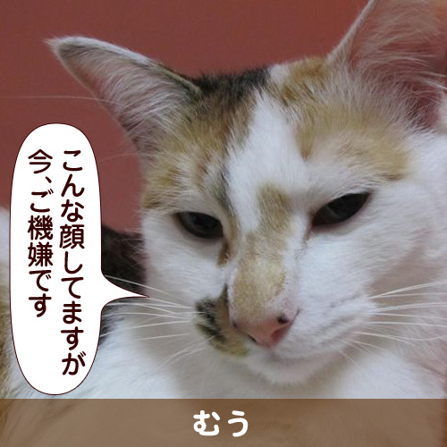 110906_touko.jpg