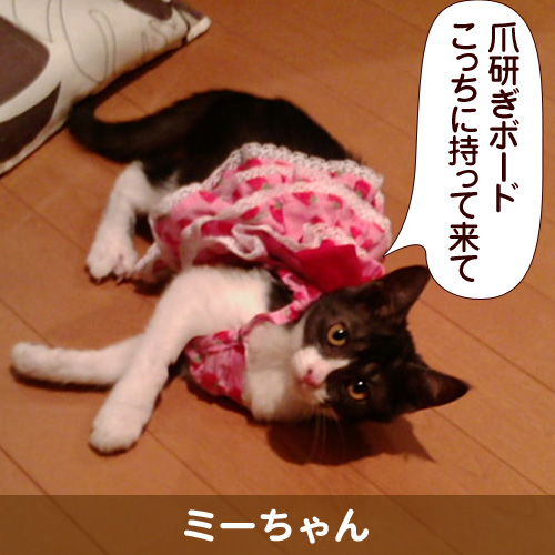 110921_touko.jpg