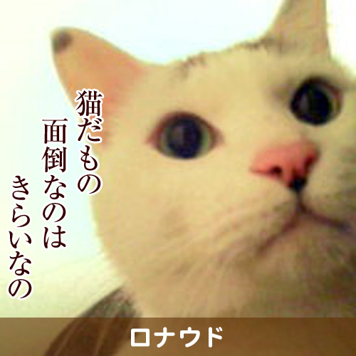 110922_touko.jpg