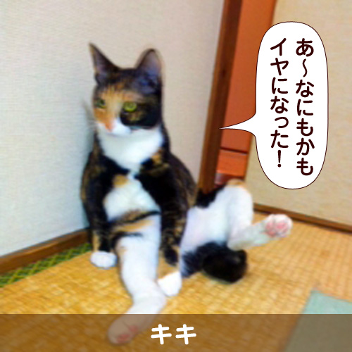 111118_touko.jpg