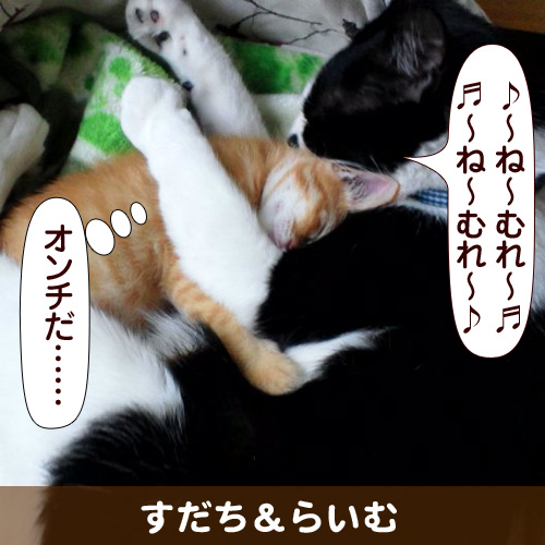 111122_touko.jpg
